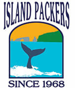 Island Packers Whale Watching