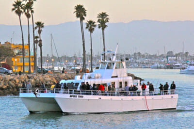 channel-islands-sportfishing channel-islands-sportfishing