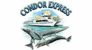 Condor Express Whale Watching Logo