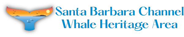 med whale tail w Santa Cruz Anacapa w blue text on side