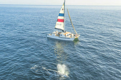 santa-barbara-sailing-center-400x266 santa-barbara-sailing-center-400x266